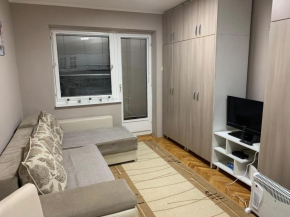 Apartman Djuric Paracin